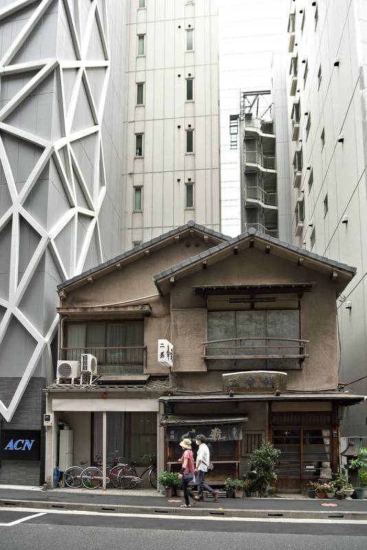 IMGP5373.tif
