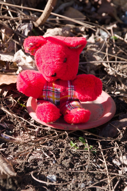 IMGP6803.tif